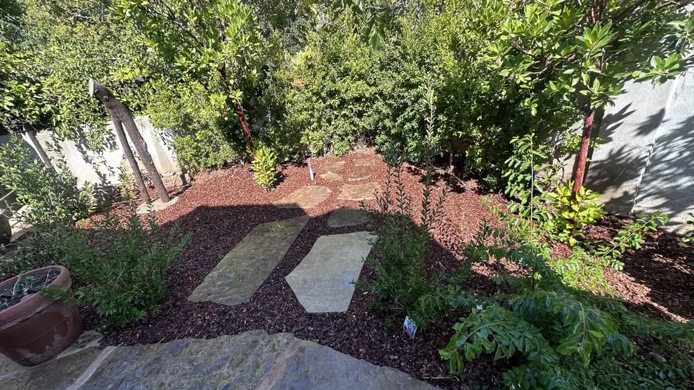 Affordable landscape design in Santa Barbara, CA - Ocean Green Landscape and Maintenance