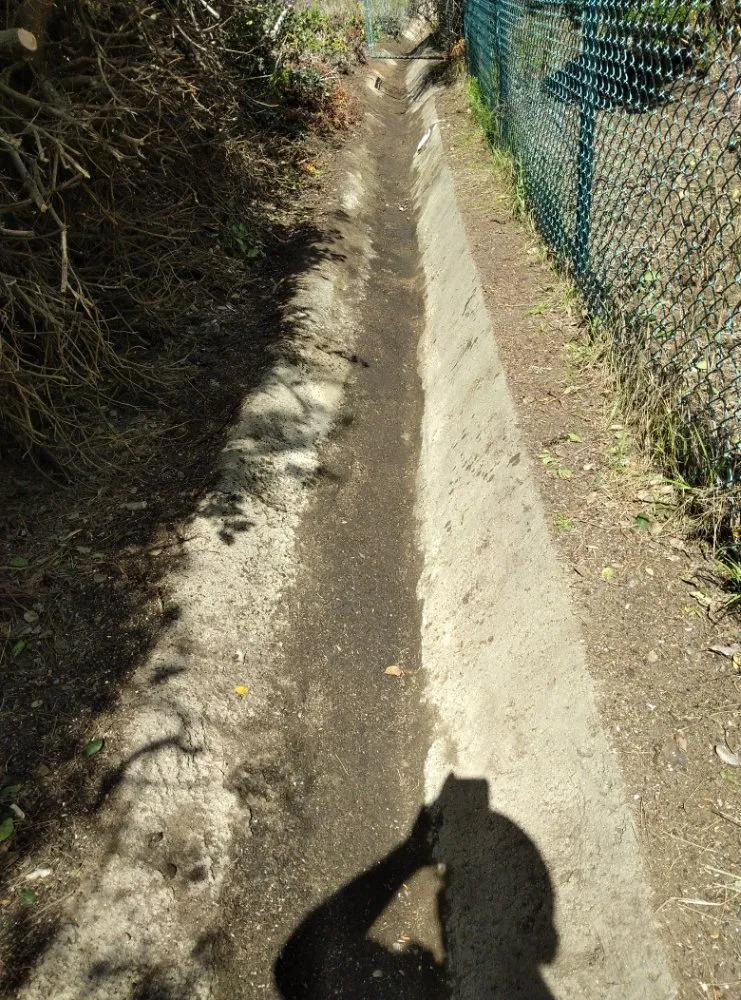 Trusted lawn care service in Oceanside, CA by Ocean Landscape