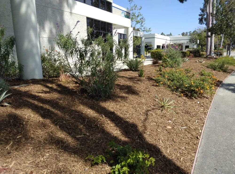 Professional residential landscaping for outdoor upgrades in Oceanside, CA by Ocean Landscape
