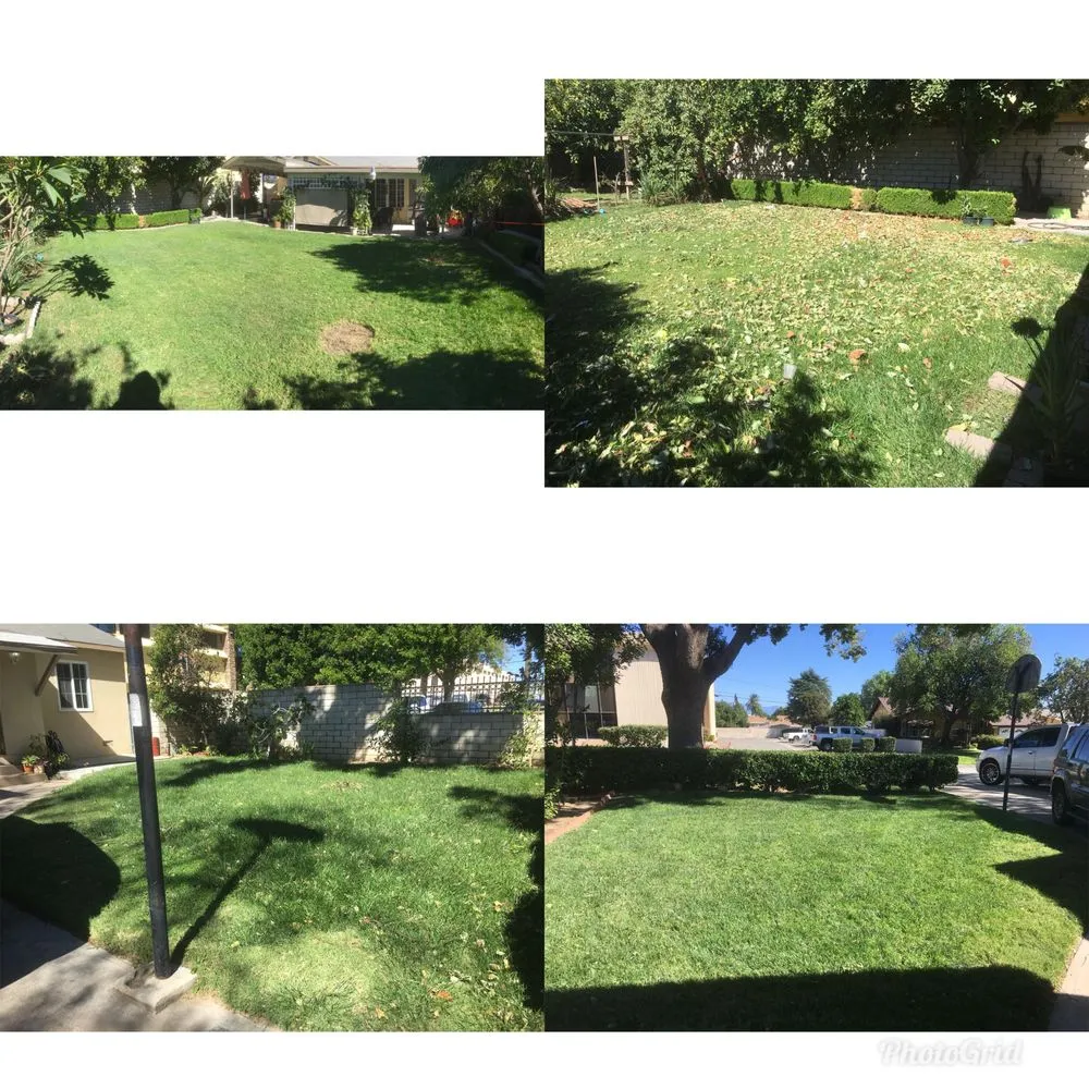 Reliable lawn care service for outdoor upgrades in Fontana, CA by Ocean landscapes
