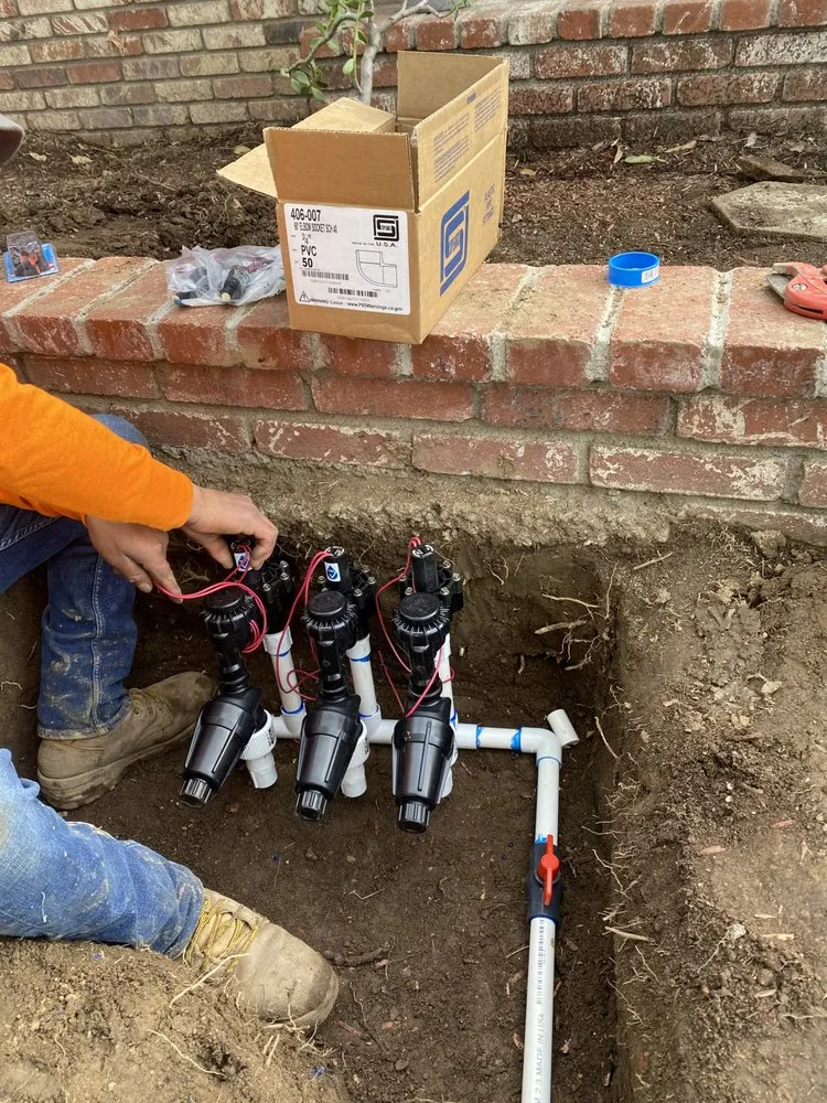 Professional lawn care service in Riverside, CA - Ocean Side Landscaping