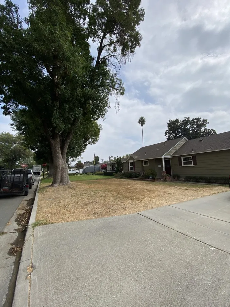 Expert yard cleanup service for beautiful yards in Riverside, CA by Ocean Side Landscaping