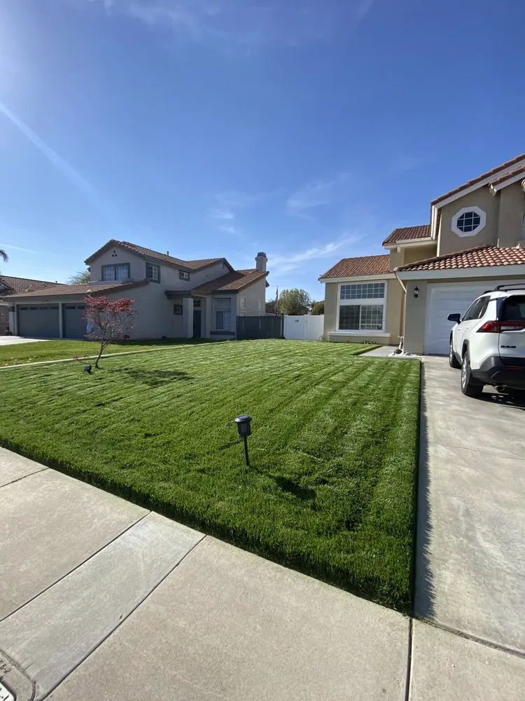 Expert landscaping services in Riverside, CA by Ocean Side Landscaping