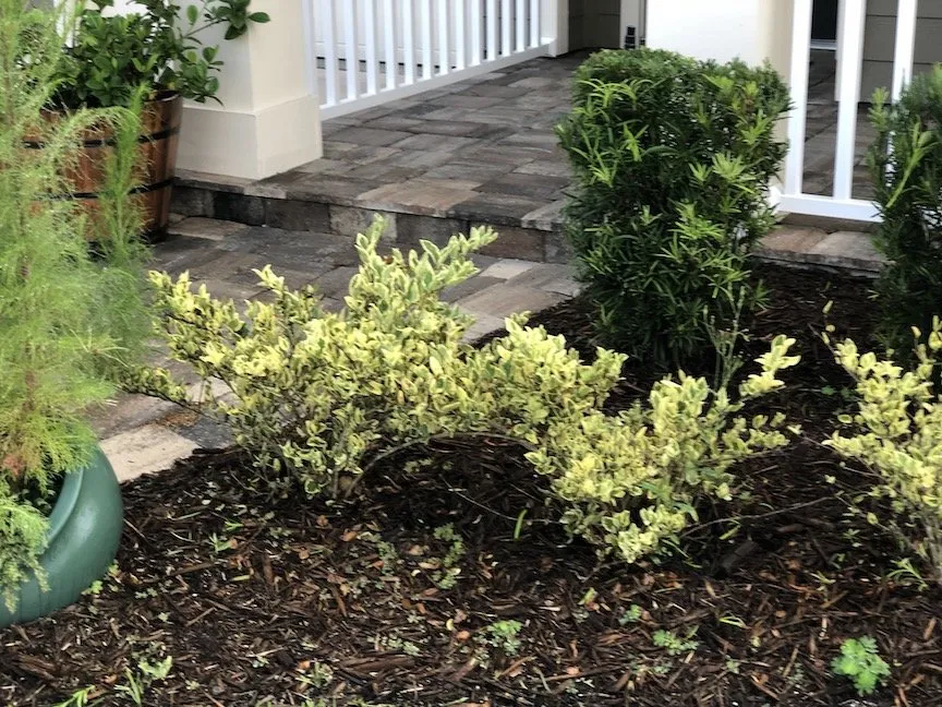 Professional landscaping services in Saint Augustine, FL - Ocean View Landscape Management