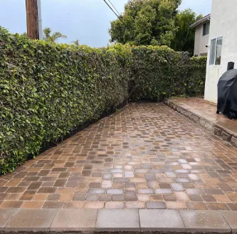 Professional landscaping services experts serving Oceano, CA - Ocean View Landscape