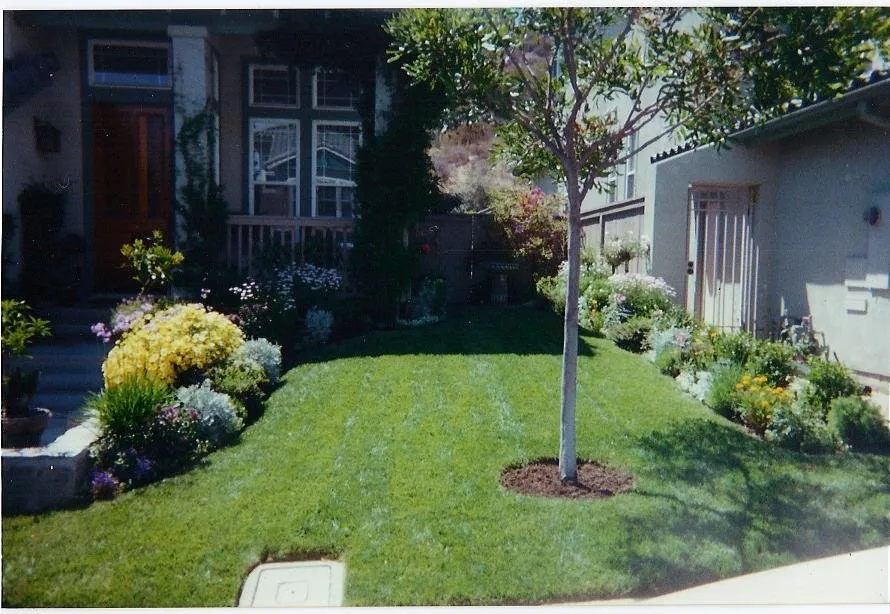 Trusted lawn care service in Rancho Santa Fe, CA by Ocean View Landscaping & Maintenance
