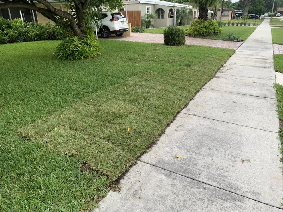 Trusted yard maintenance in Oakland Park, FL by Ocean View Lawn Service