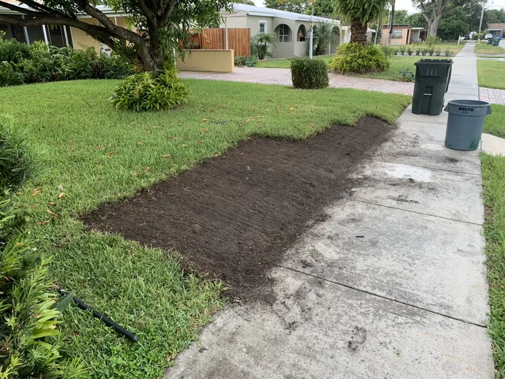 Custom yard maintenance for outdoor upgrades across Oakland Park, FL - Ocean View Lawn Service