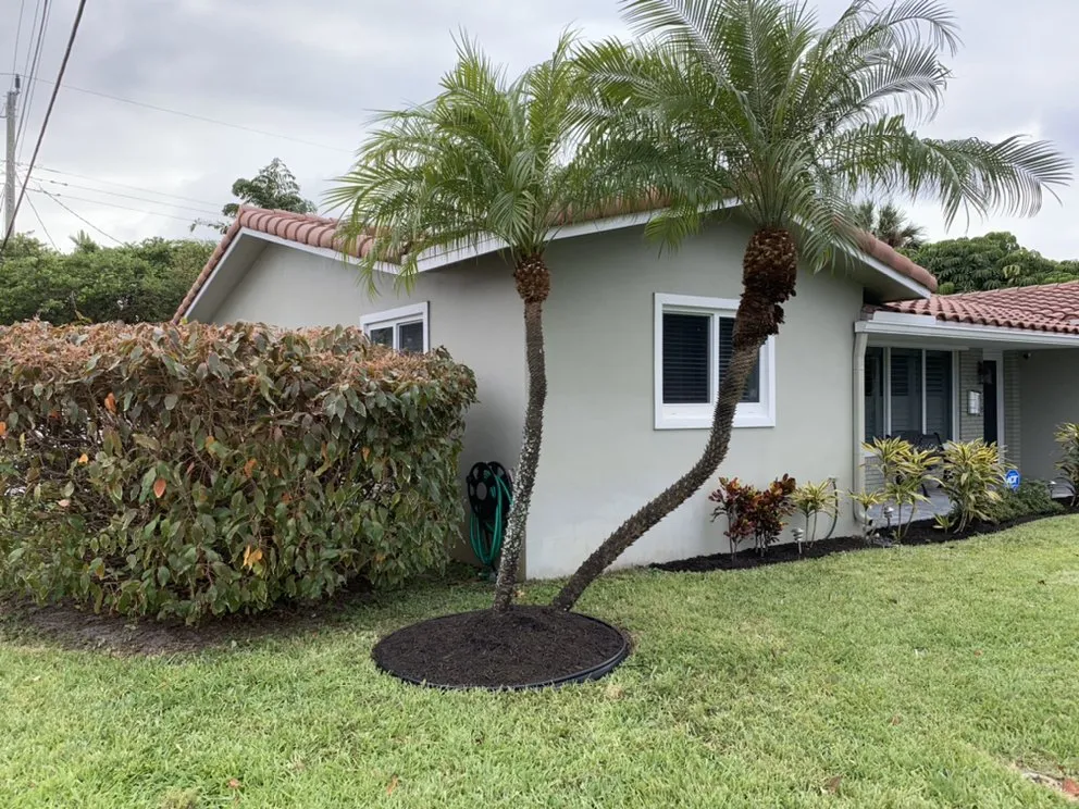 Top-rated lawn care service in Oakland Park, FL by Ocean View Lawn Service