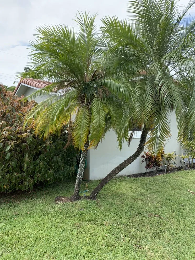 Local garden landscaping for outdoor upgrades in Oakland Park, FL by Ocean View Lawn Service