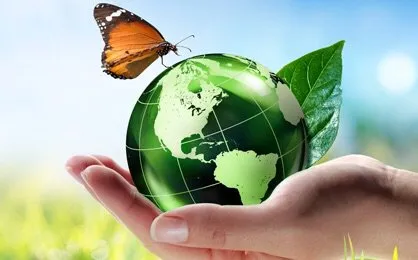 Affordable residential landscaping for year-round maintenance in Deerfield Beach, FL by Oceanic Pest Control