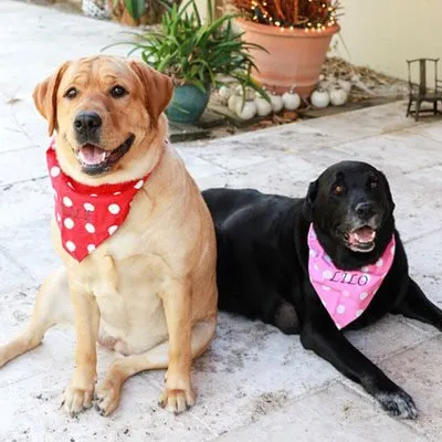 Top-rated landscaping services in Deerfield Beach, FL by Oceanic Pest Control