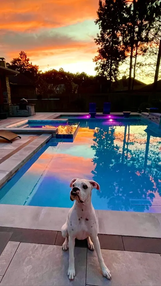 Expert garden landscaping for year-round maintenance across Spring, TX - Oceans Edge Custom Pools