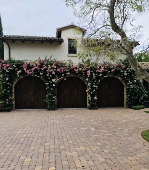 Trusted lawn care service in West Palm Beach, FL by Oceanside Landscaping & Design