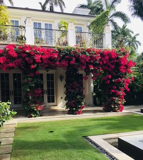 Local landscape design in West Palm Beach, FL by Oceanside Landscaping & Design