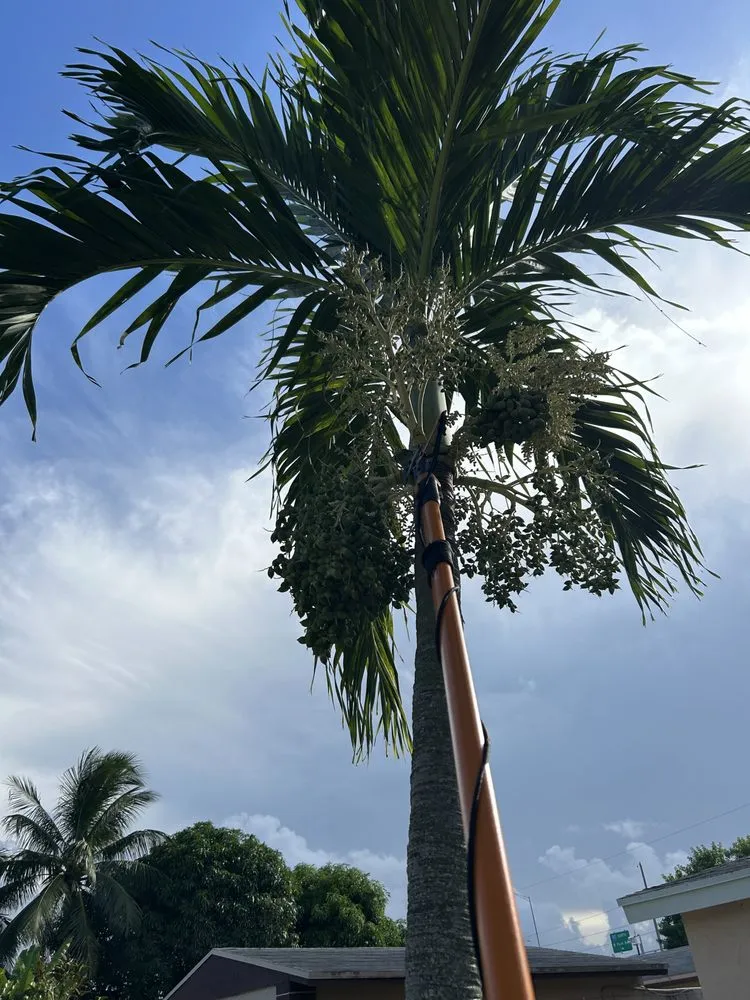 Affordable yard cleanup service in Boynton Beach, FL - Oceanside Outdoor Services