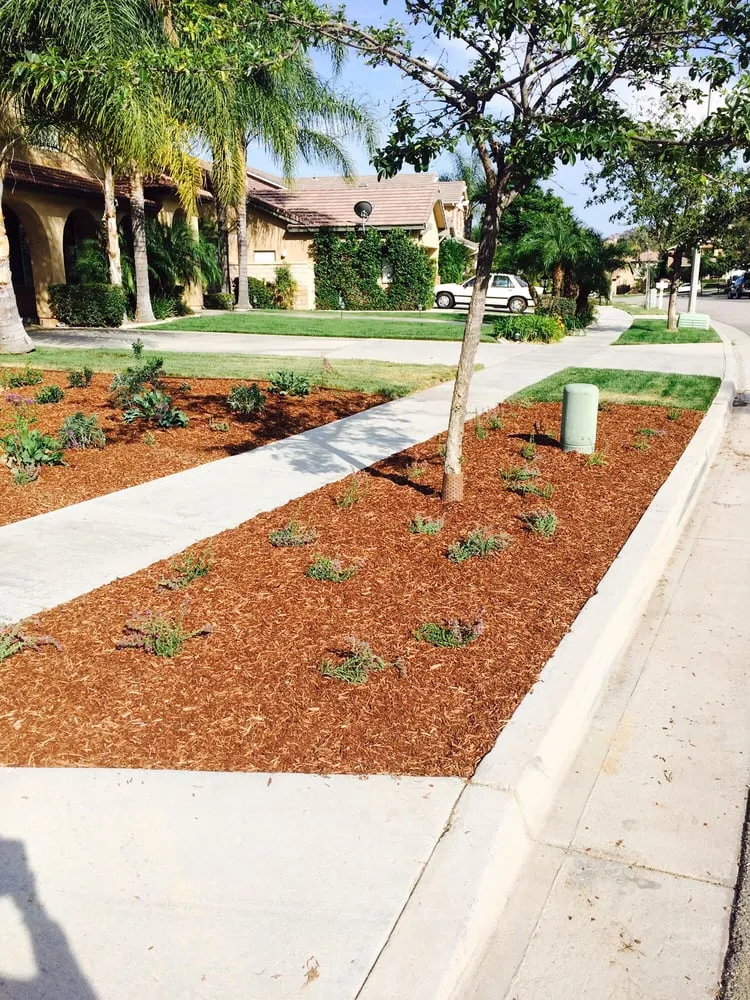 Expert outdoor landscaping for residential properties across Corona, CA - Oceanview Landscape