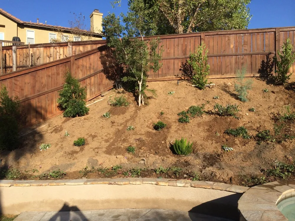 Trusted residential landscaping for year-round maintenance in Corona, CA by Oceanview Landscape