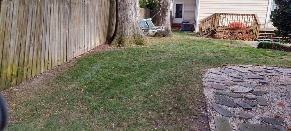 Top-rated yard cleanup service for residential properties in Norfolk, VA by Oceanview Landscaping