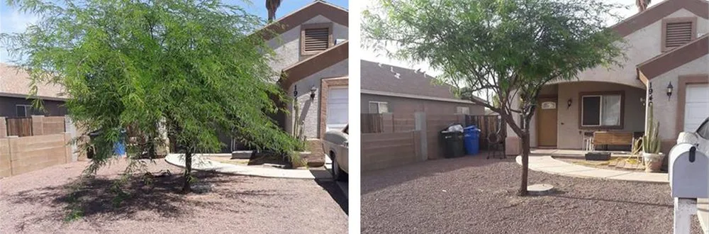 Custom lawn mowing service in Houston, TX - Ochoa Landscaping