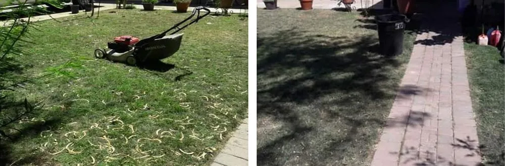 Trusted landscape design near you across Houston, TX - Ochoa Landscaping