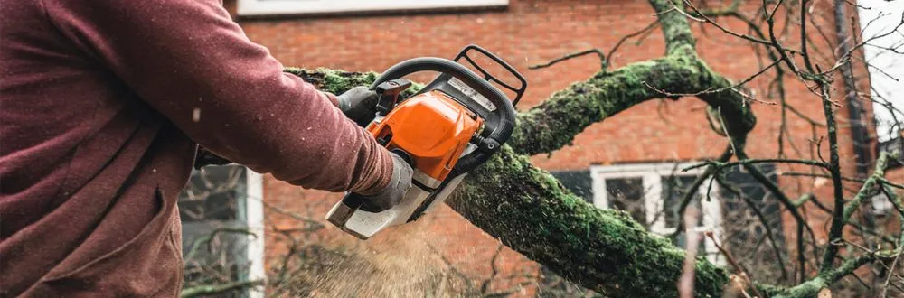 Trusted landscape design for year-round maintenance across Houston, TX - Ochoa Landscaping