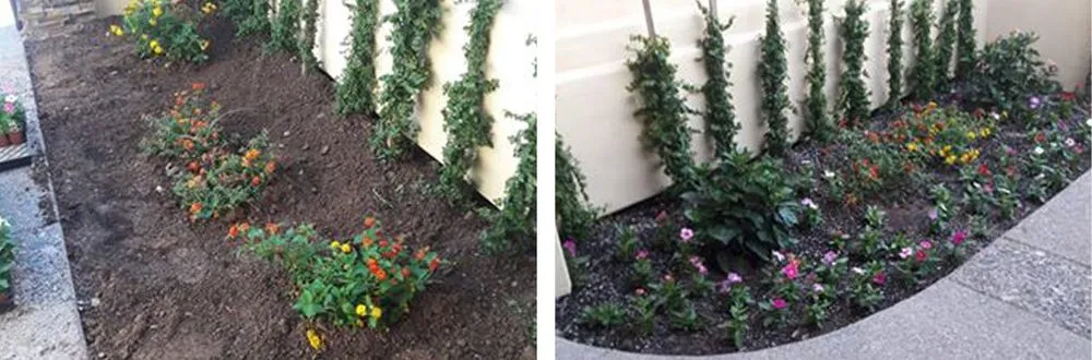 Professional landscape design in Houston, TX - Ochoa Landscaping