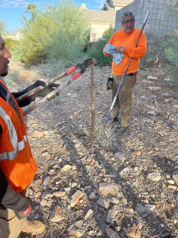 Top-rated landscape installation for outdoor upgrades in Phoenix, AZ by Ochoa Landscaping
