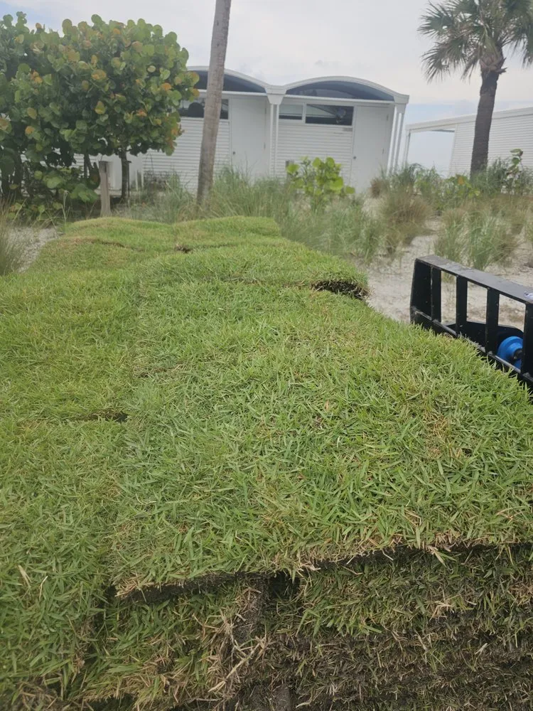 Expert residential landscaping in Myakka City, FL by Ochoa Sod