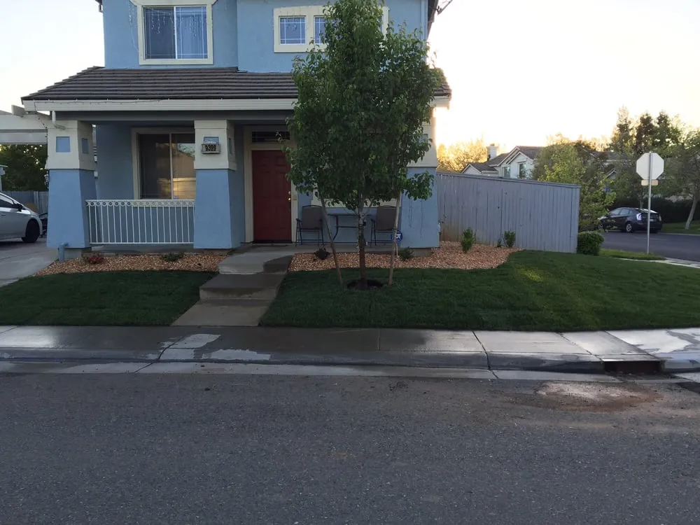 Trusted landscape design for beautiful yards across Sacramento, CA - Ochoa's Gardening