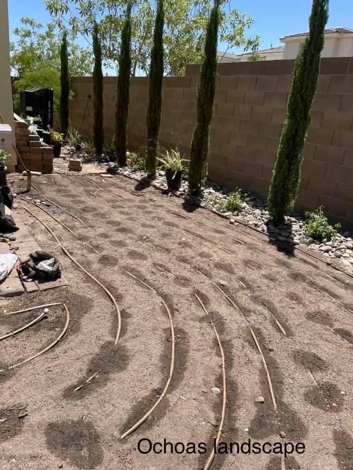 Local outdoor landscaping for residential properties in Anaheim, CA by Ochoas Landscape