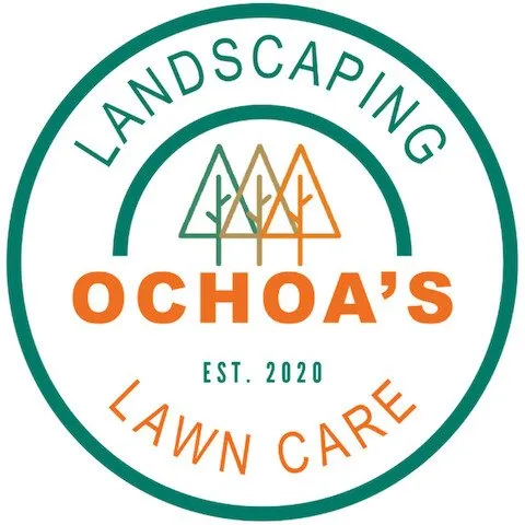 Expert yard cleanup service for year-round maintenance across Orland Park, IL - Ochoa's Landscaping & Lawn Care