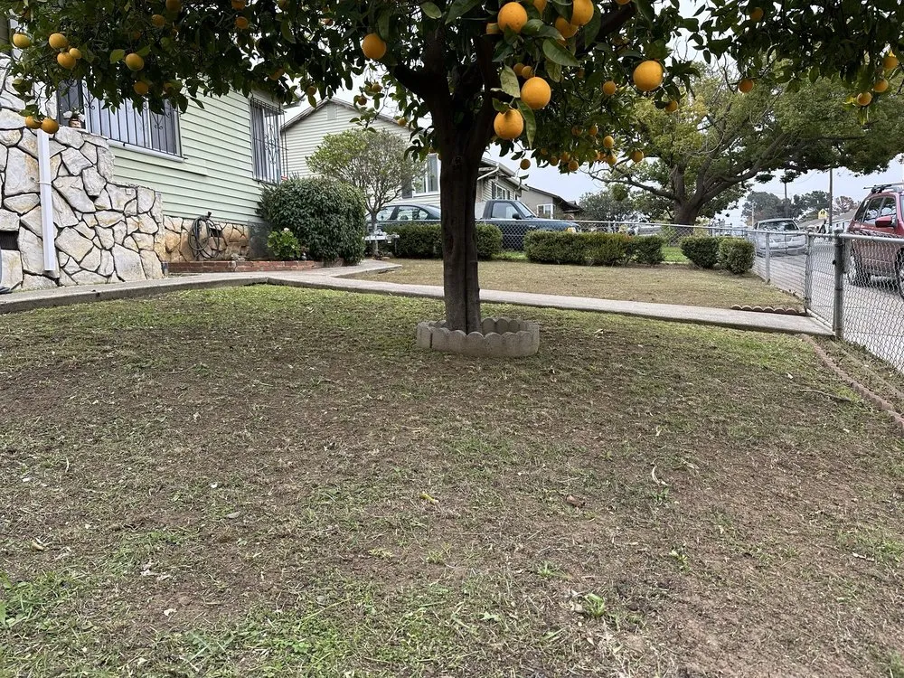 Expert landscape design with custom design in Vallejo, CA by Ochoa’s Landscaping and Yard Maintenance