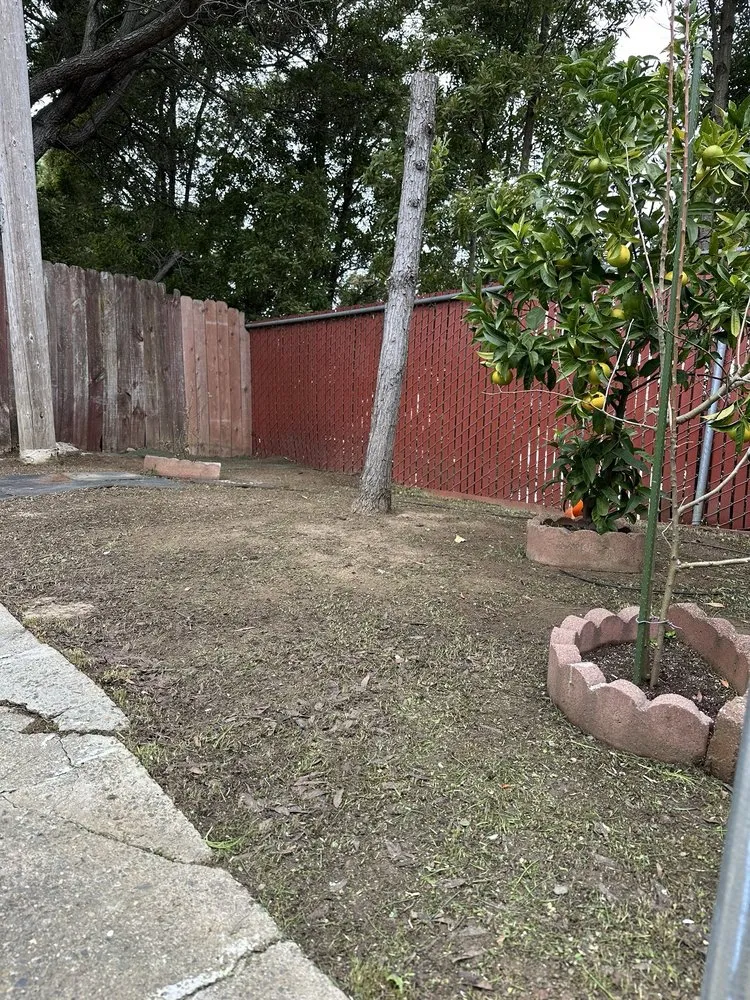 Trusted landscaping services near you in Vallejo, CA by Ochoa’s Landscaping and Yard Maintenance