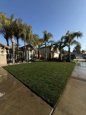 Ochoas Landscaping Logo