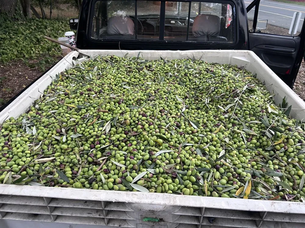 Top-rated residential landscaping in Napa, CA - Ochoa's Landscaping