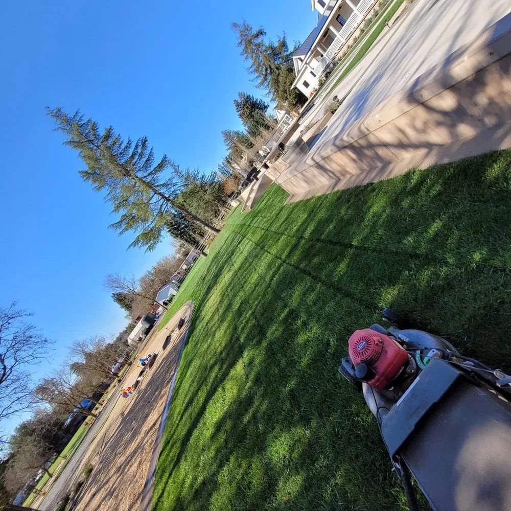 Affordable landscape design in Napa, CA - Ochoa's Landscaping