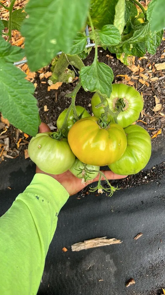 Top-rated landscape design in Napa, CA by Ochoa's Landscaping