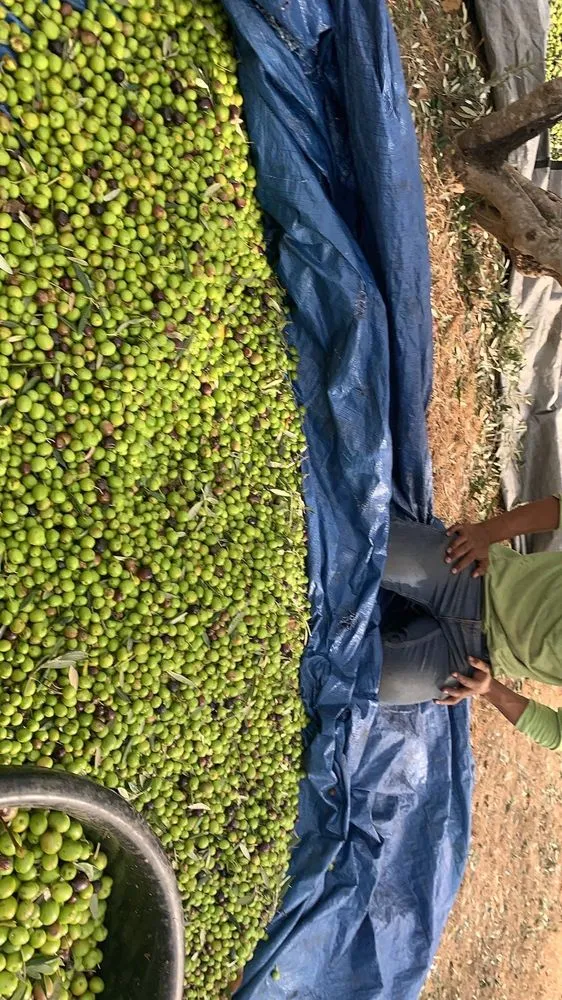 Trusted landscape design experts serving Napa, CA - Ochoa's Landscaping