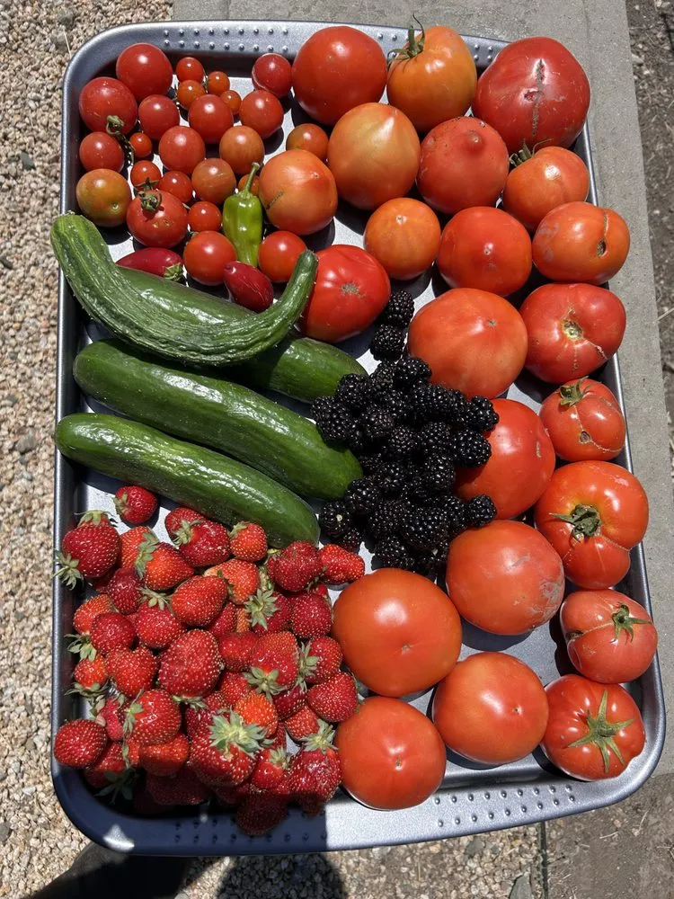 Custom lawn mowing service for residential properties in Napa, CA by Ochoa's Landscaping