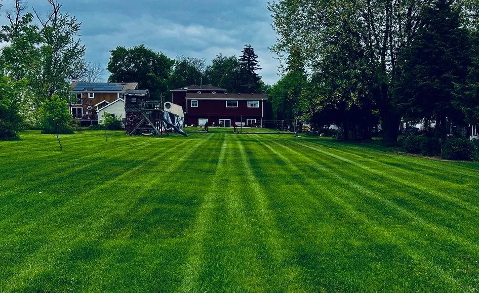 Local yard cleanup service experts serving Bensenville, IL - Ochoa's Outdoor Services