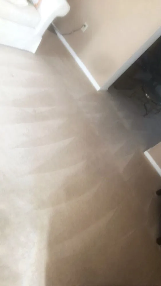 Top-rated yard cleanup service for year-round maintenance in Lindenwold, NJ by Ocho’s Commercial Cleaning Services