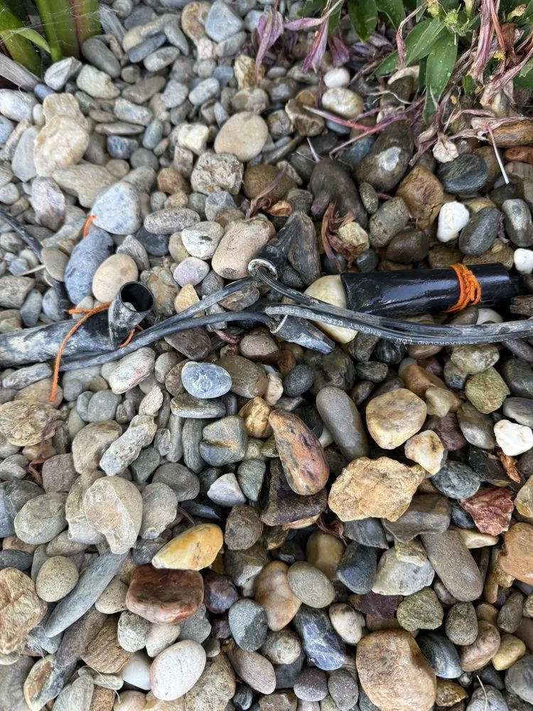 Custom landscaping services in Antioch, CA by Ochos Landscaping