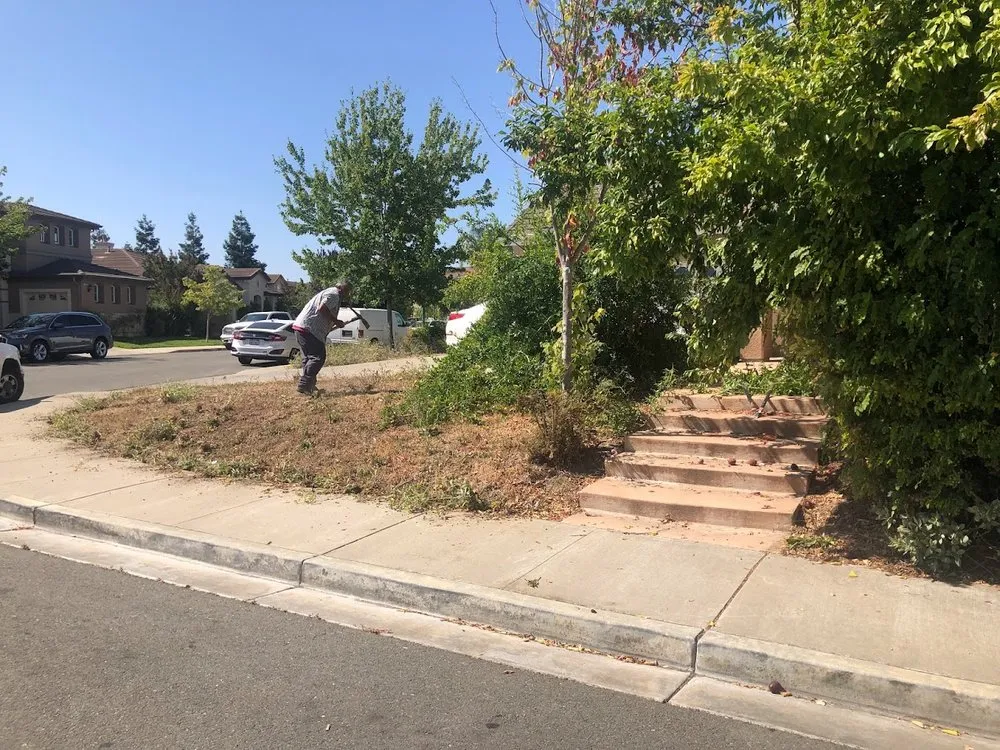 Local lawn care service in Antioch, CA - Ochos Landscaping