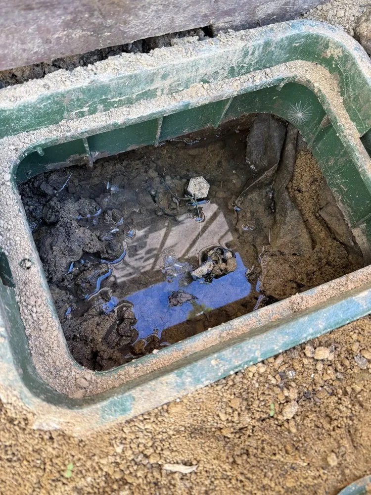 Local lawn care service for homes in Antioch, CA by Ochos Landscaping