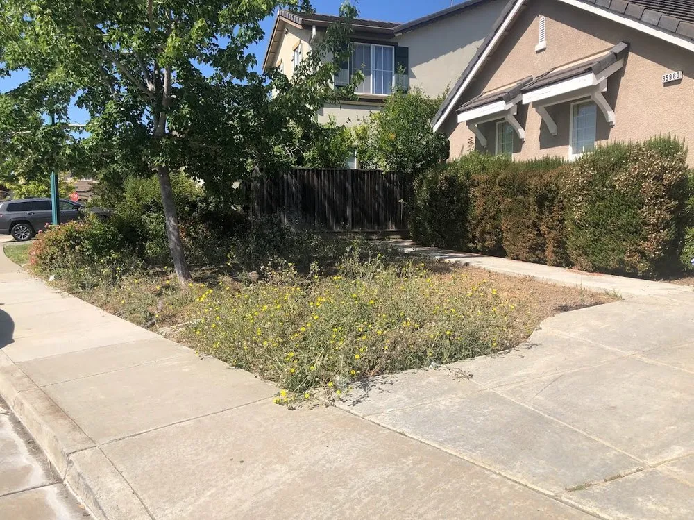 Professional lawn mowing service for beautiful yards across Antioch, CA - Ochos Landscaping