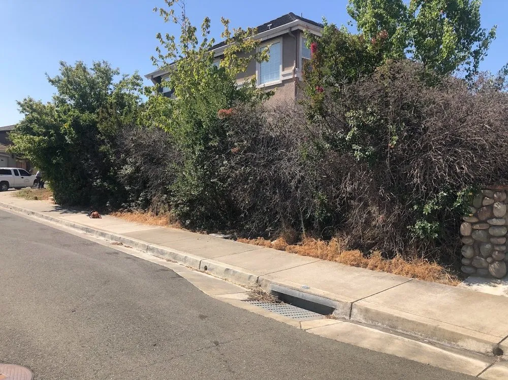 Local garden landscaping for beautiful yards across Antioch, CA - Ochos Landscaping