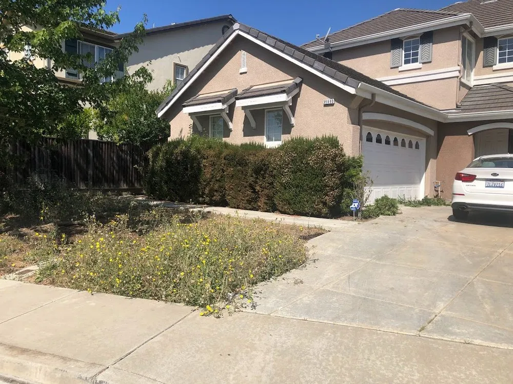 Expert lawn care service for outdoor upgrades in Antioch, CA by Ochos Landscaping