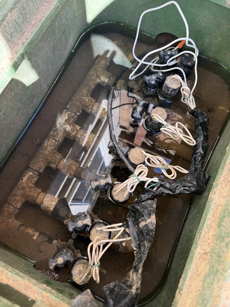 Professional lawn care service for outdoor upgrades in Antioch, CA by Ochos Landscaping