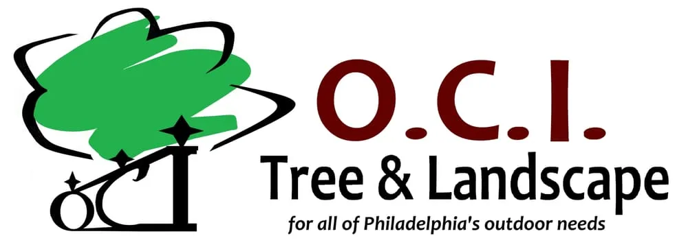 Expert yard cleanup service for homes across Philadelphia, PA - OCI Tree And Landscaping